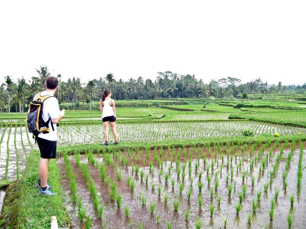 Uma Caming Villas & Gym Tegallalang  Exterior foto